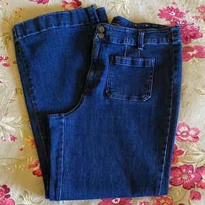 Talbots Indigo Jean Trouser